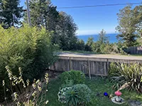 A tranquil garden featuring various green plants and a red birdhouse sits in the foreground of an inviting Air BnB in Humboldt. Beyond the garden, a wooden fence and a road are visible. Further back, lush trees and a clear blue sky frame a glimpse of the distant ocean.